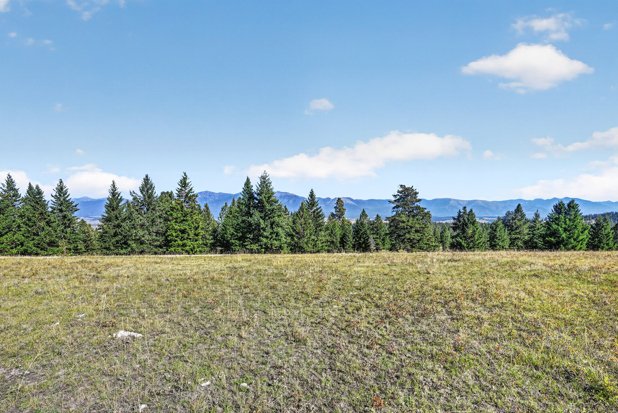 Nhn Black Lake Road Property Photo 17
