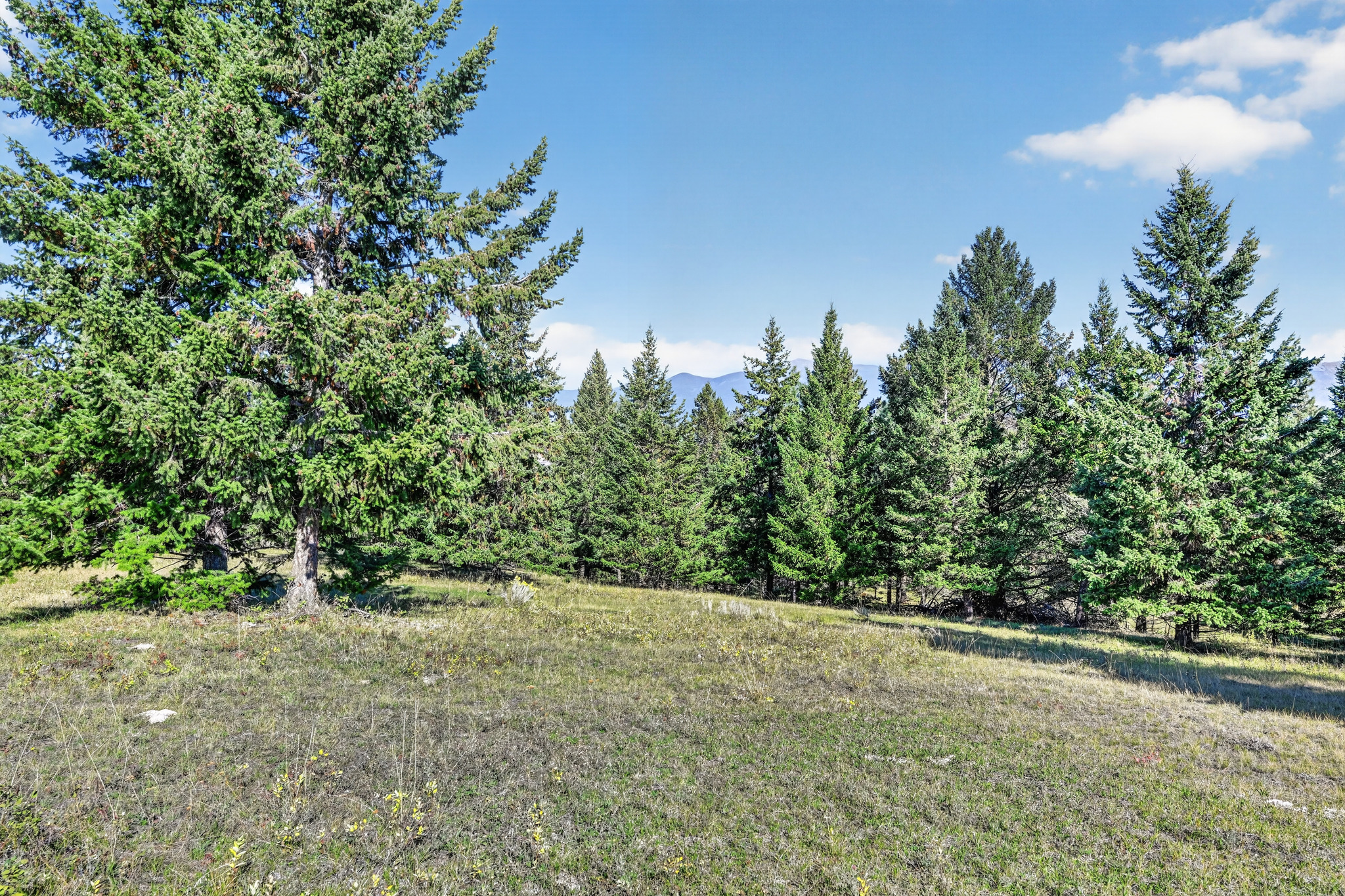 Nhn Black Lake Road Property Photo 18