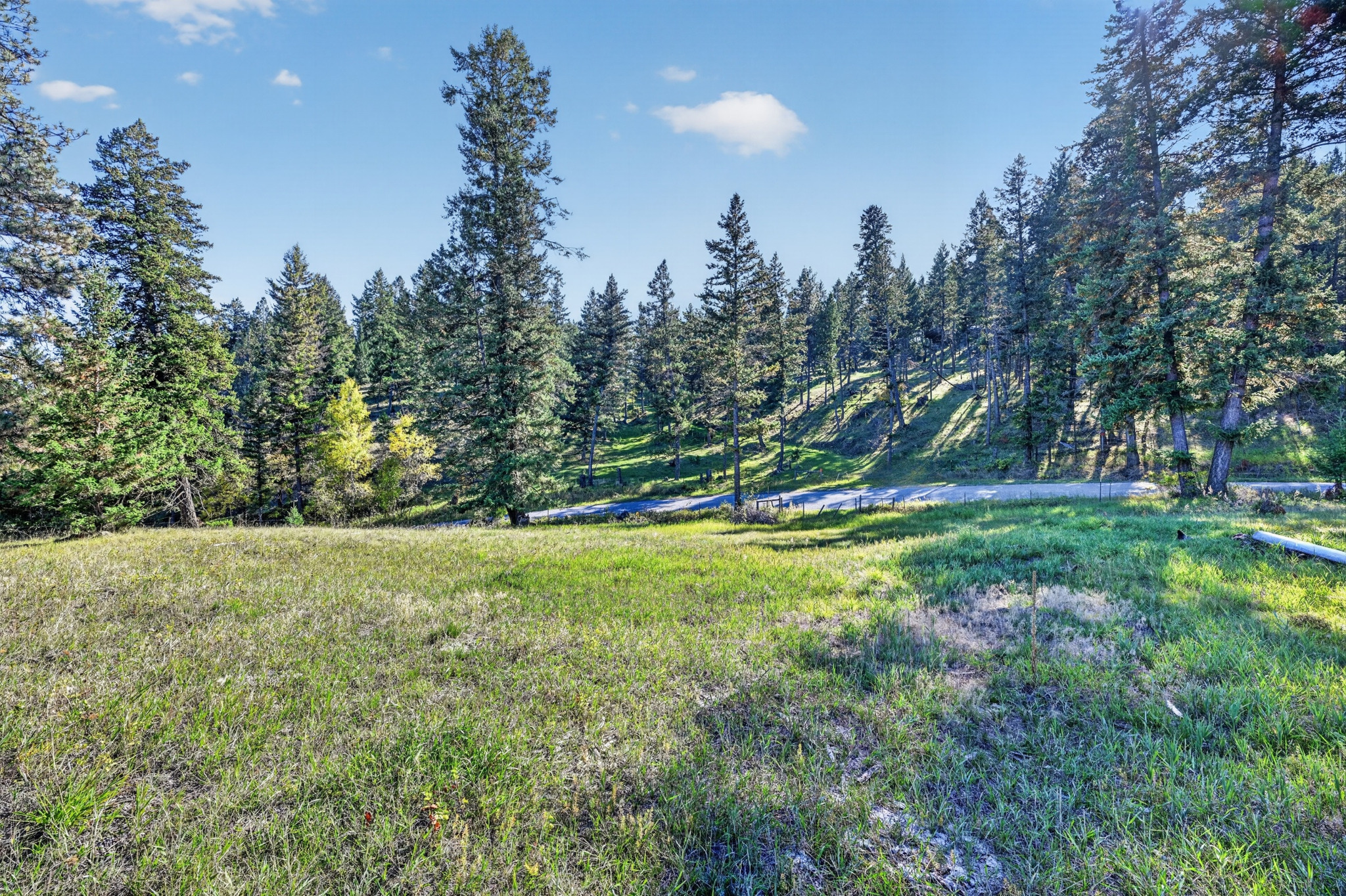 Nhn Black Lake Road Property Photo 19
