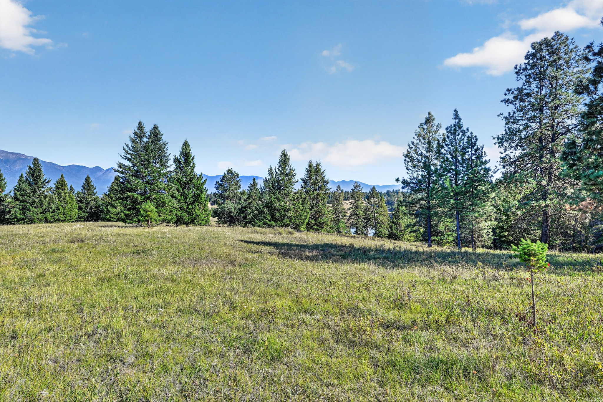 Nhn Black Lake Road Property Photo 20