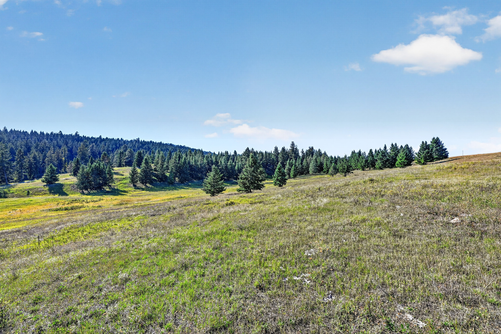 Nhn Black Lake Road Property Photo 21