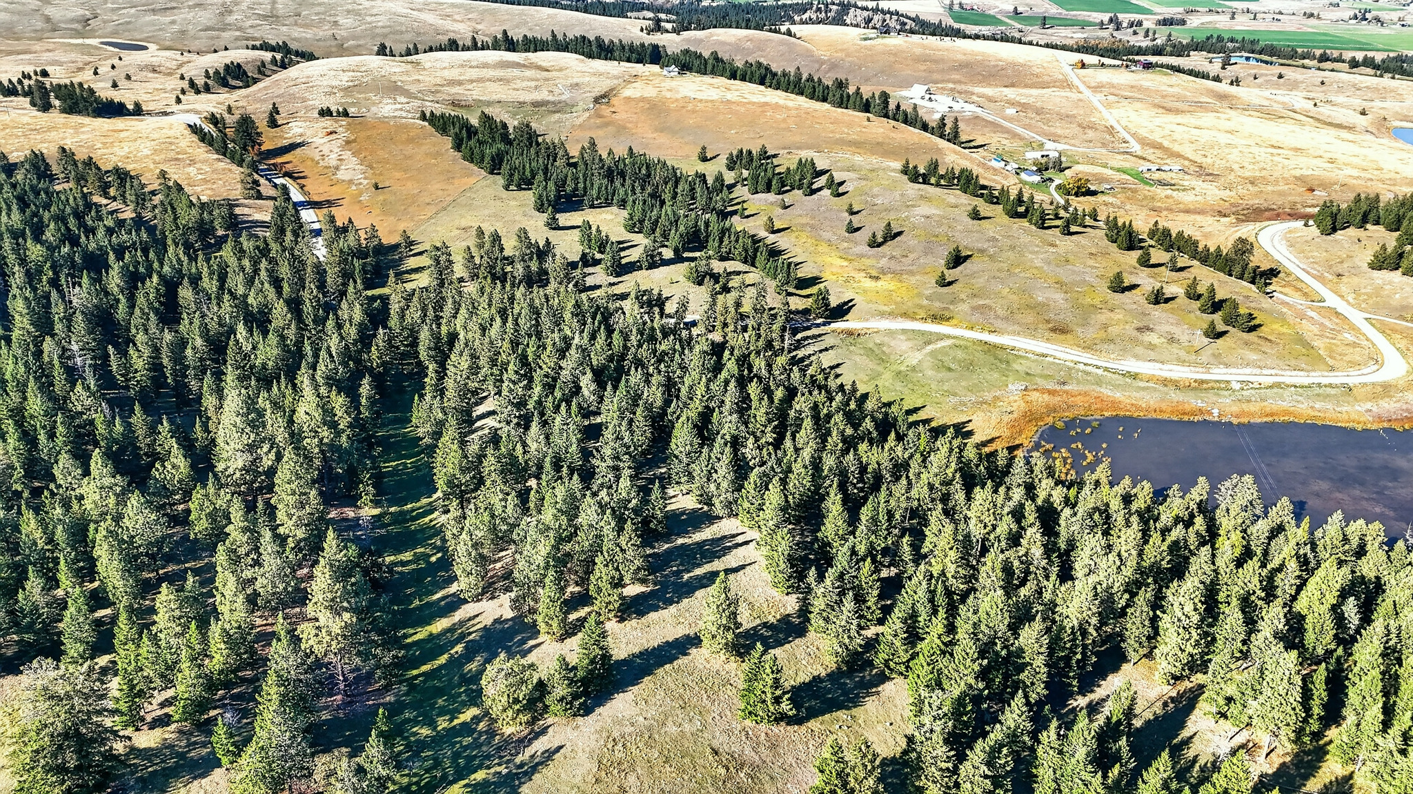 Nhn Black Lake Road Property Photo 23