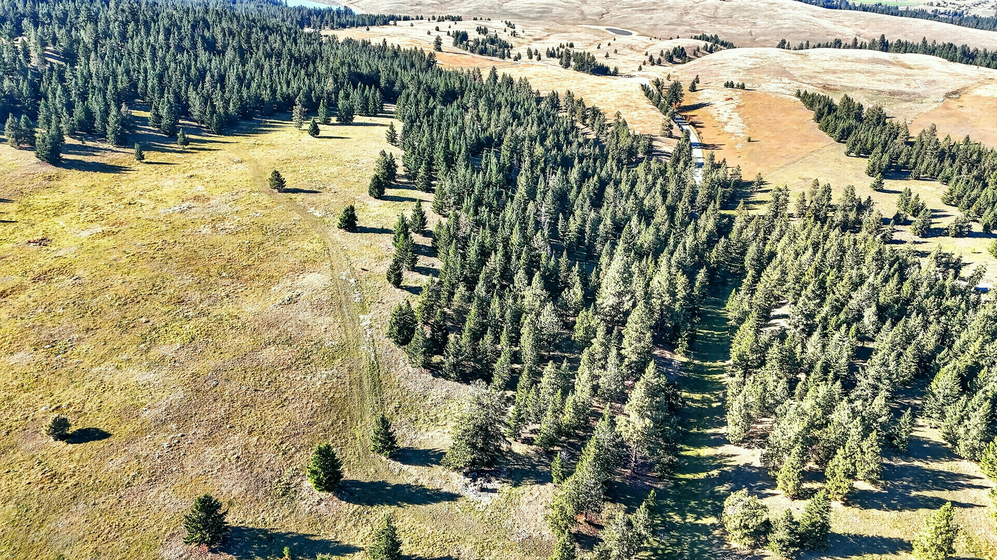 Nhn Black Lake Road Property Photo 24