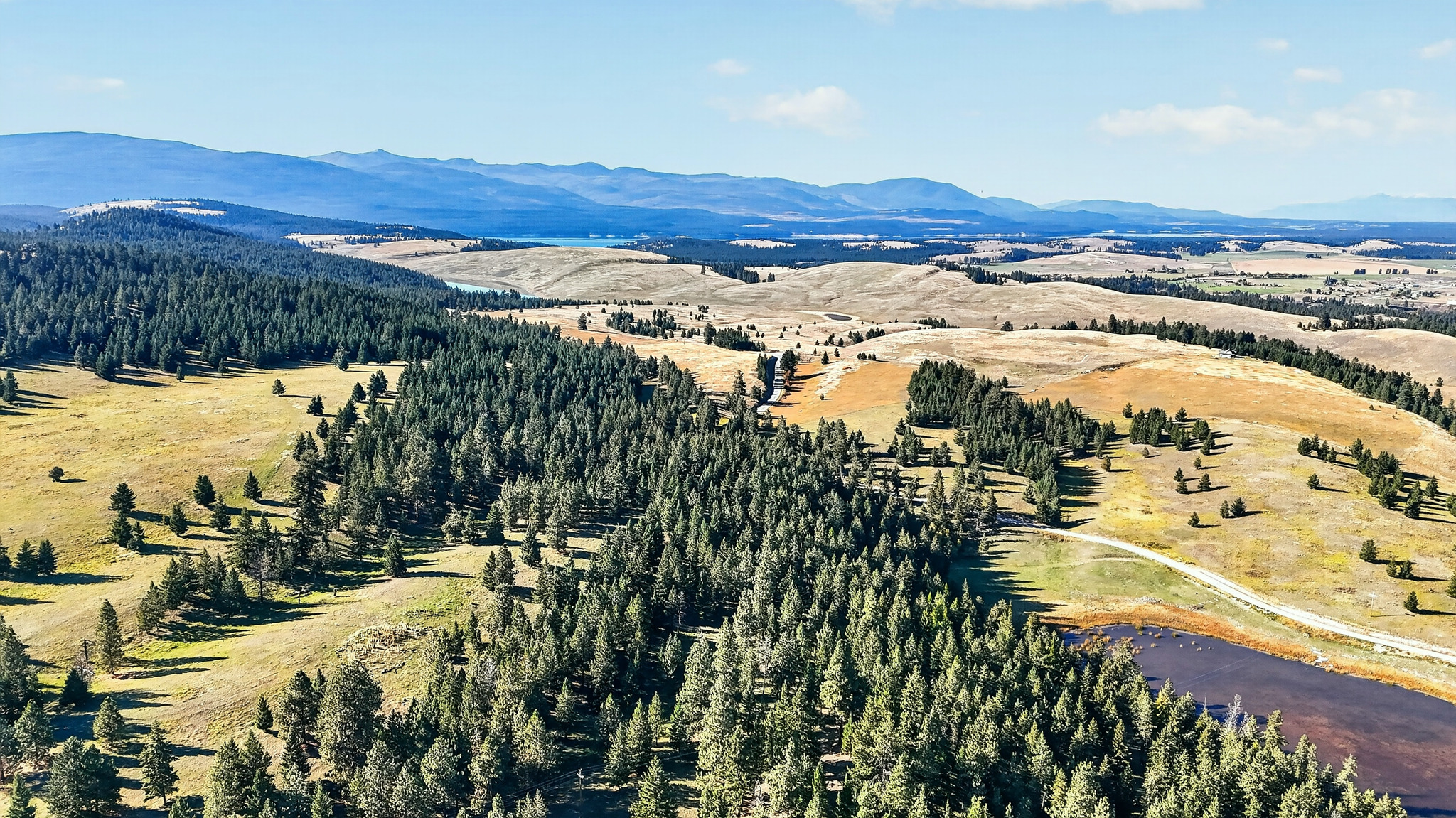 Nhn Black Lake Road Property Photo 30