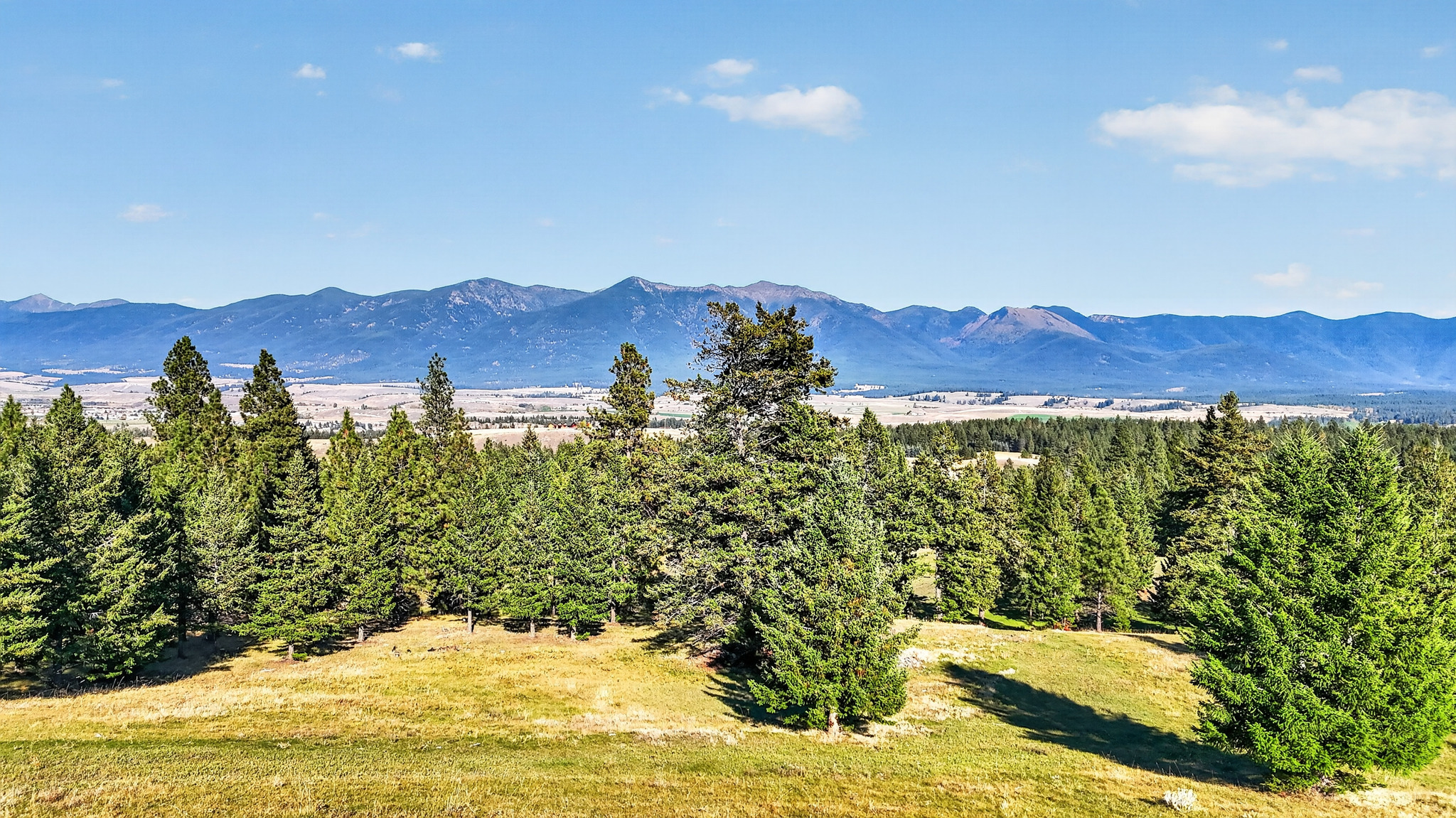 Nhn Black Lake Road Property Photo 38
