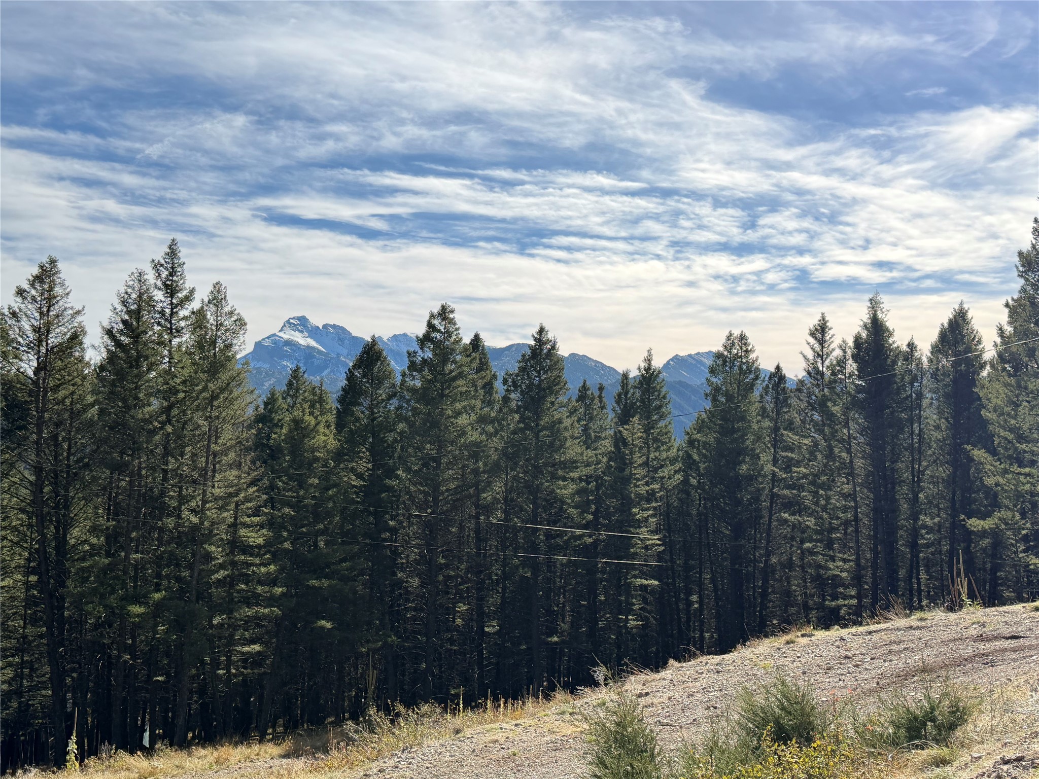 32 Mortimer Gulch Road Property Photo 111