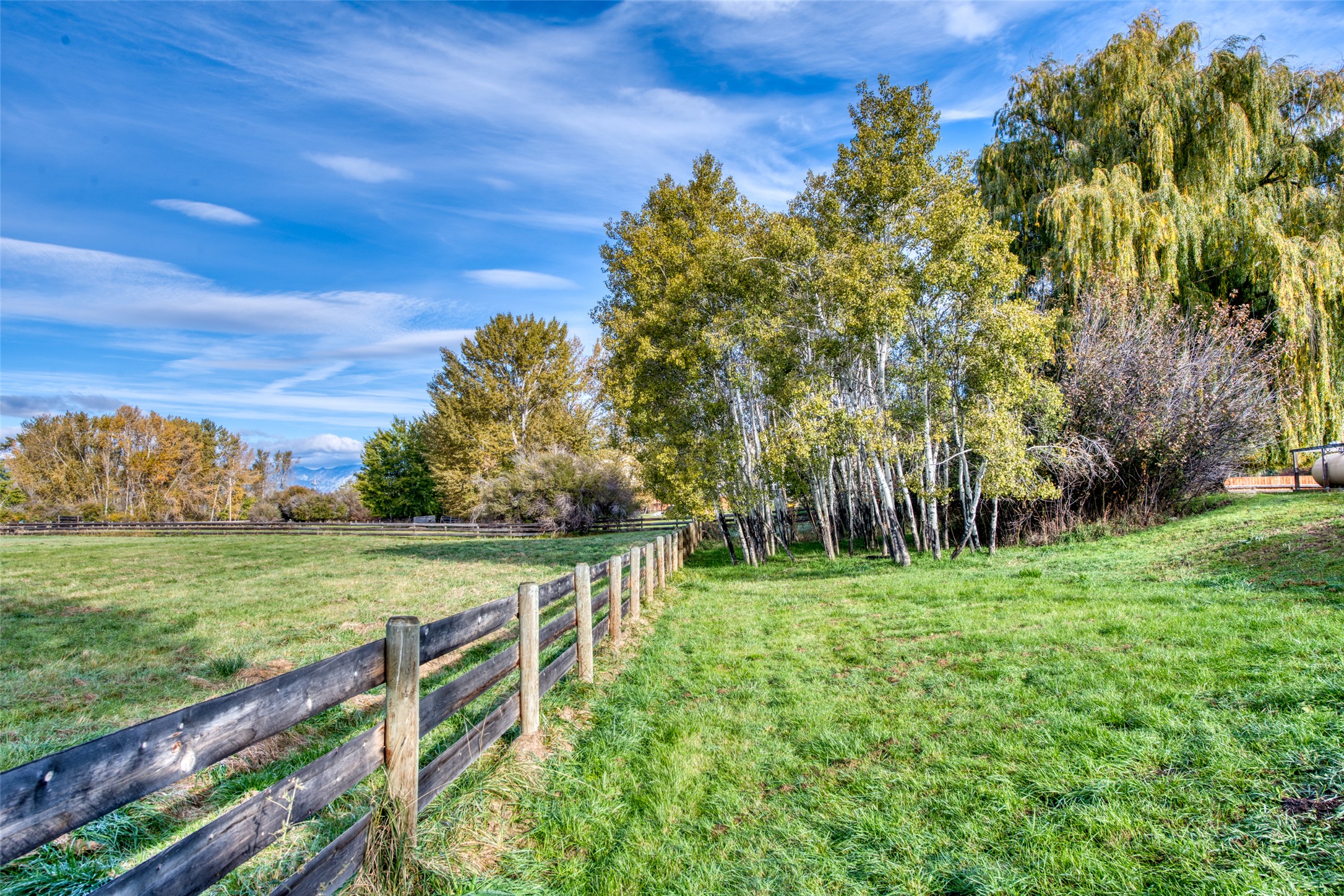 4485 Thorning Loop Property Photo 4