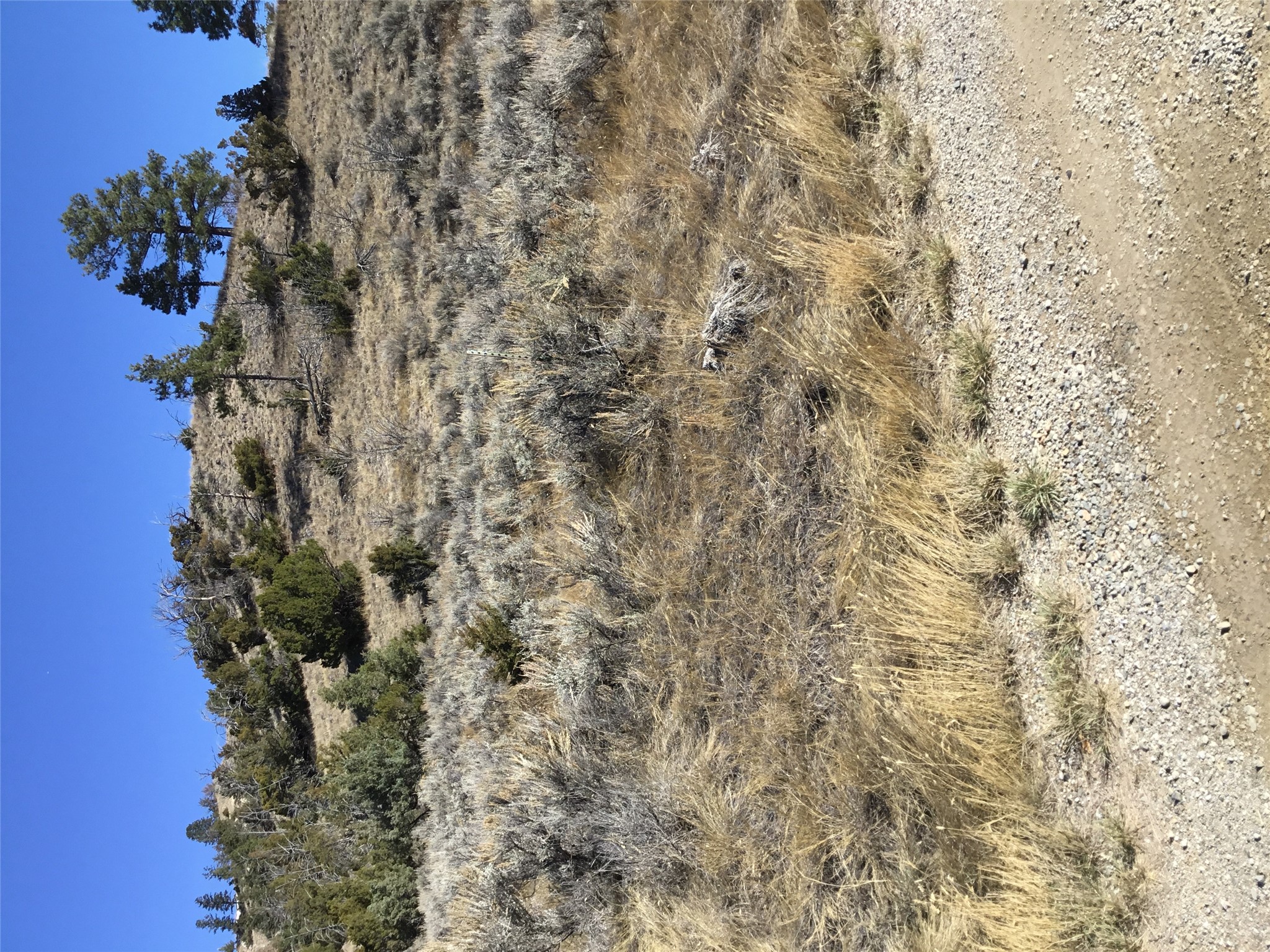 Unknown Hwy 12 E Property Photo 1