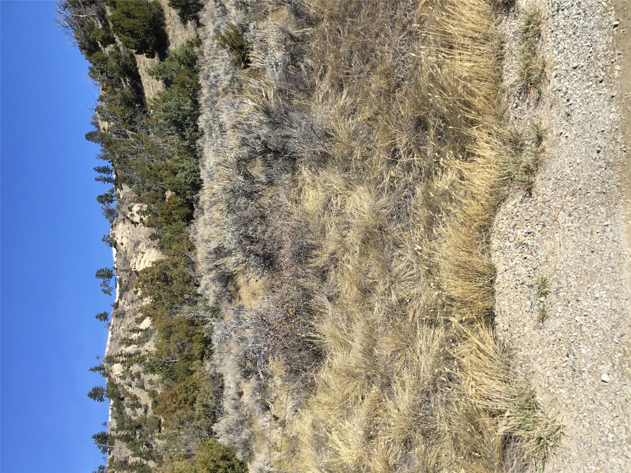 Unknown Hwy 12 E Property Photo 2