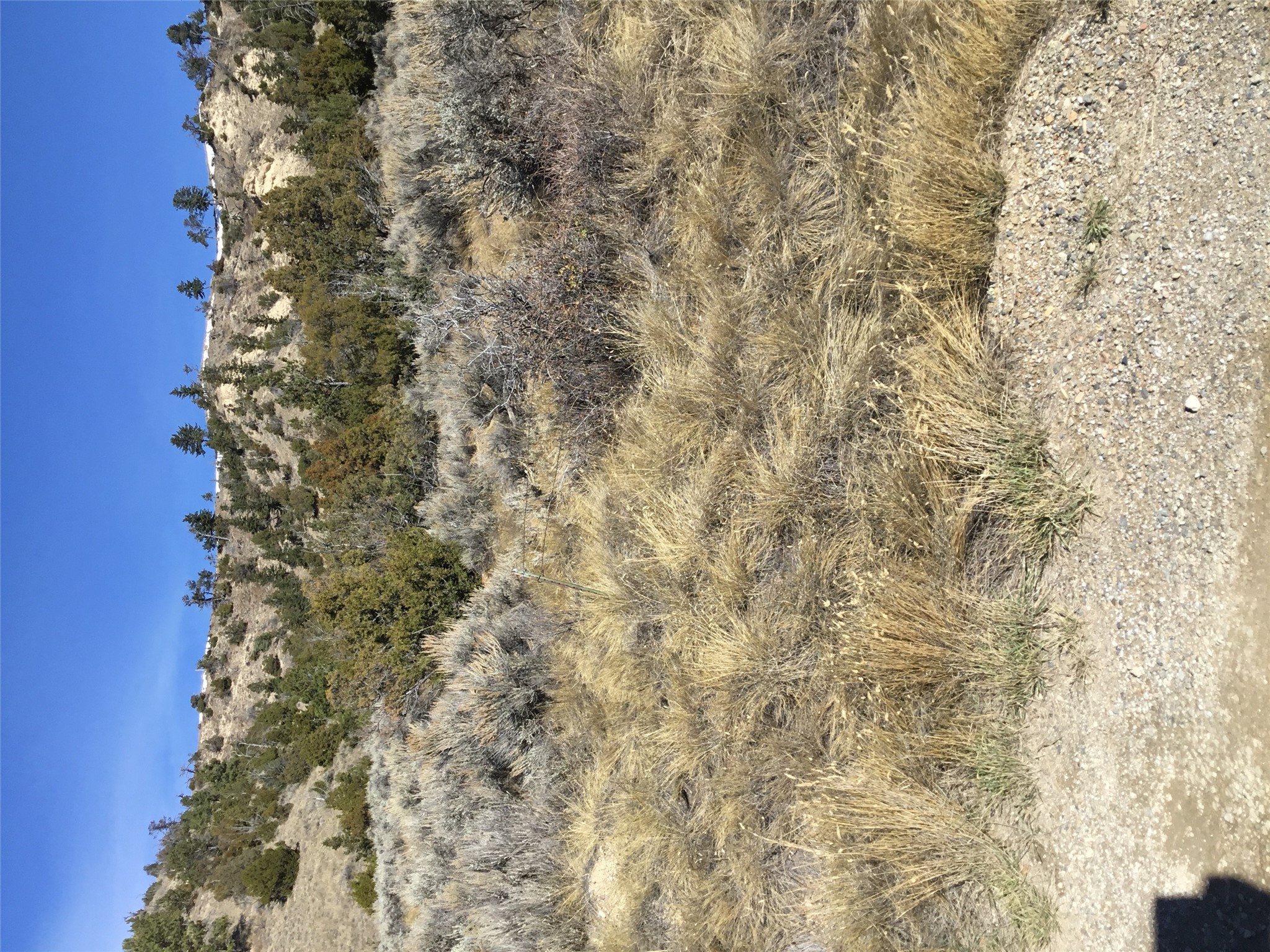 Unknown Hwy 12 E Property Photo 3