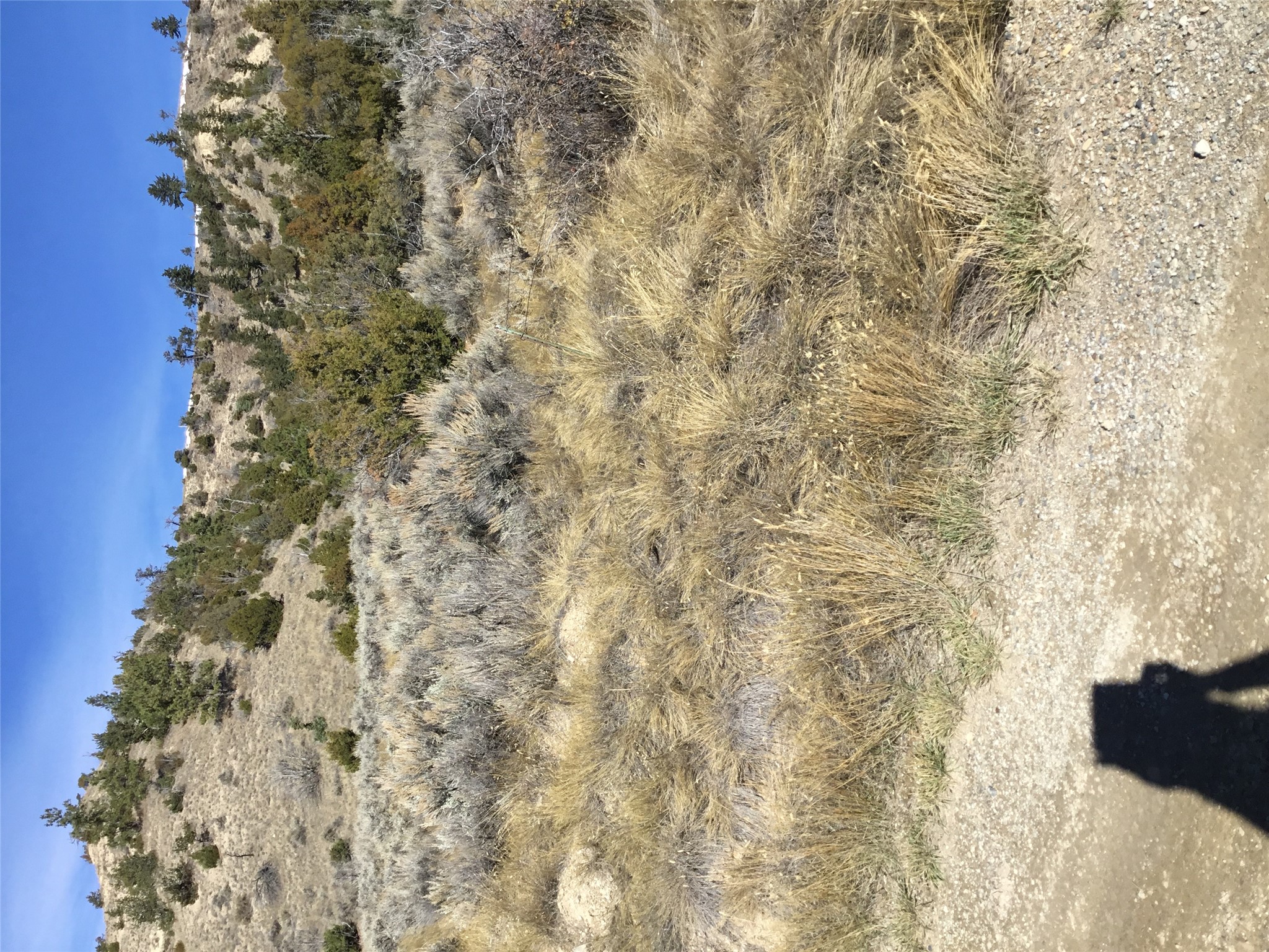 Unknown Hwy 12 E Property Photo 4