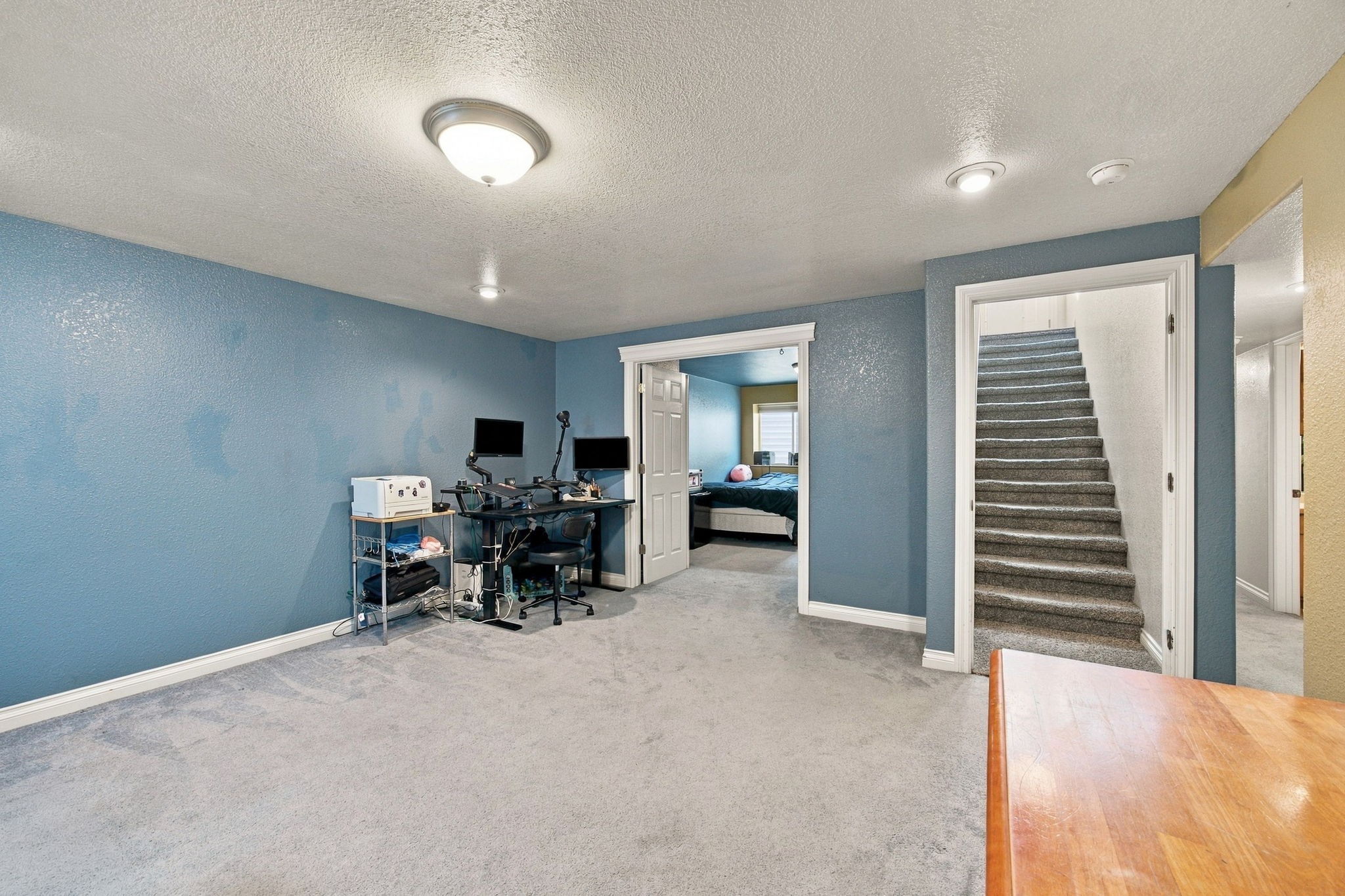 4839 Potter Park Loop Property Photo 22