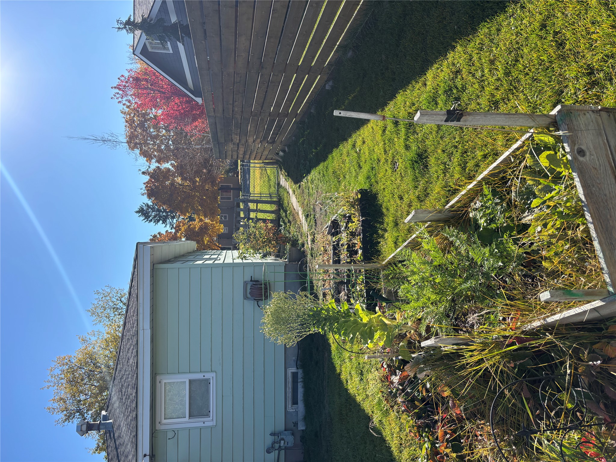 823 Edith Street Property Photo 5