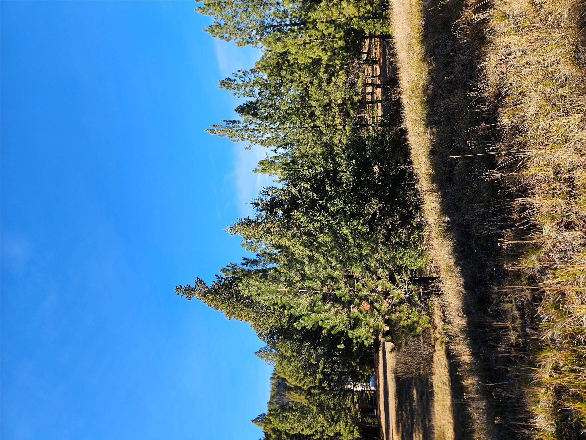 8818 Elk Trail Loop Property Photo 21
