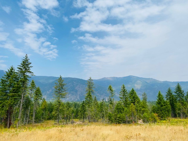 Nhn Creek View Lane Property Photo 2