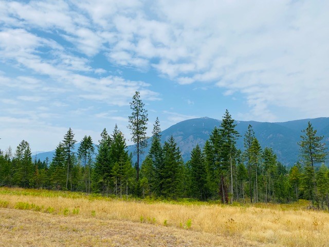 Nhn Creek View Lane Property Photo 3
