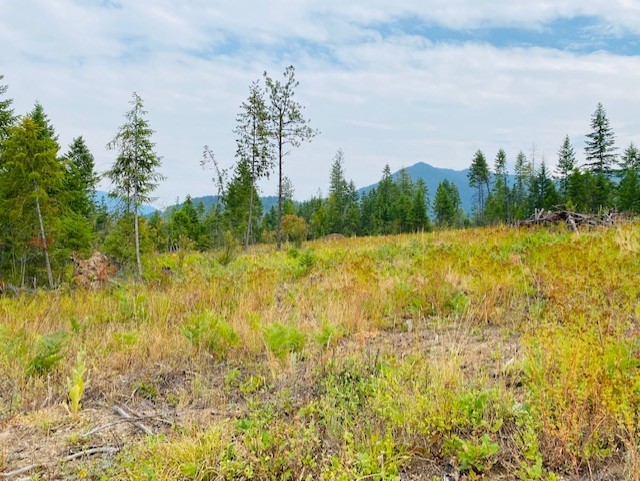 Nhn Creek View Lane Property Photo 4