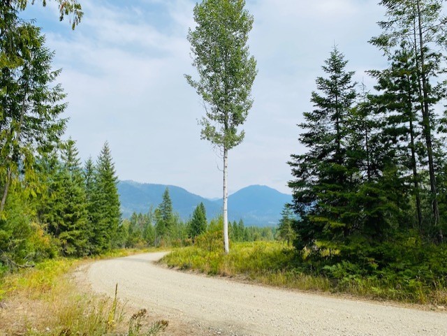 Nhn Creek View Lane Property Photo 5