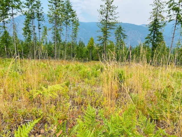 Nhn Creek View Lane Property Photo 6