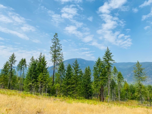 Nhn Creek View Lane Property Photo 7