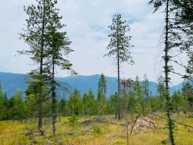 Nhn Creek View Lane Property Photo 9