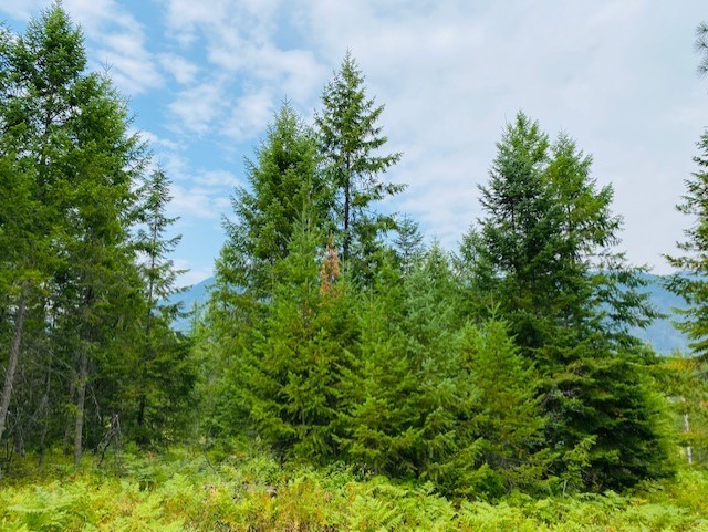 Nhn Creek View Lane Property Photo 10