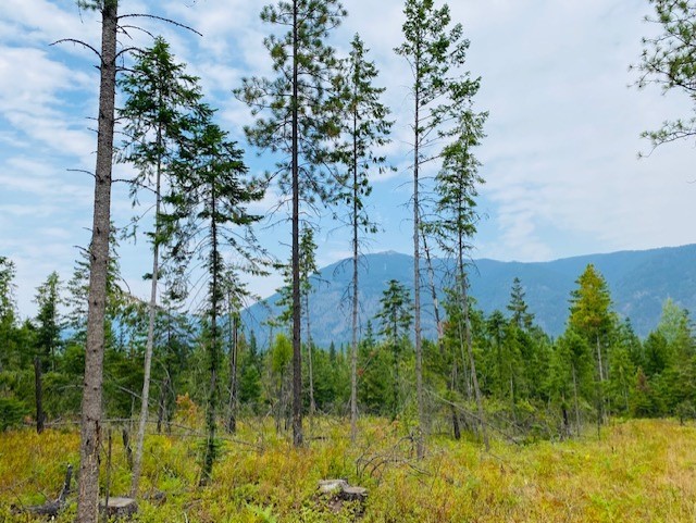Nhn Creek View Lane Property Photo 11