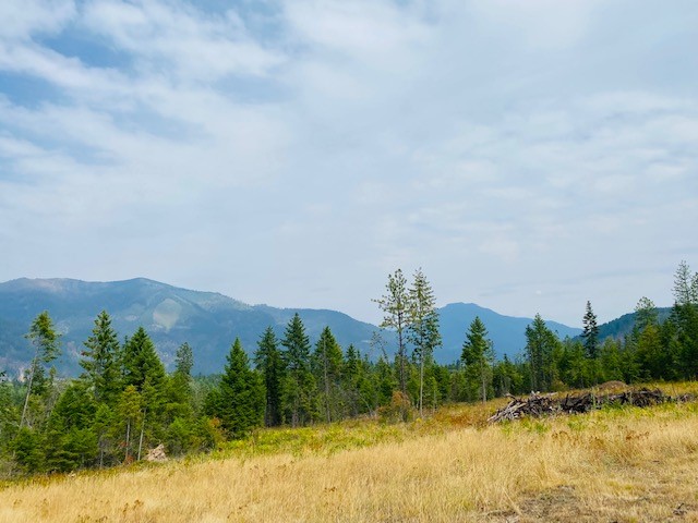 Nhn Creek View Lane Property Photo 12