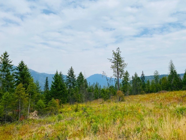 Nhn Creek View Lane Property Photo 14