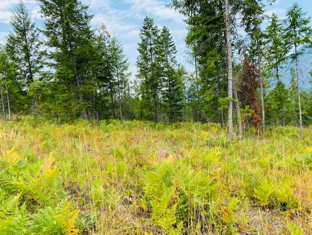 Nhn Creek View Lane Property Photo 16