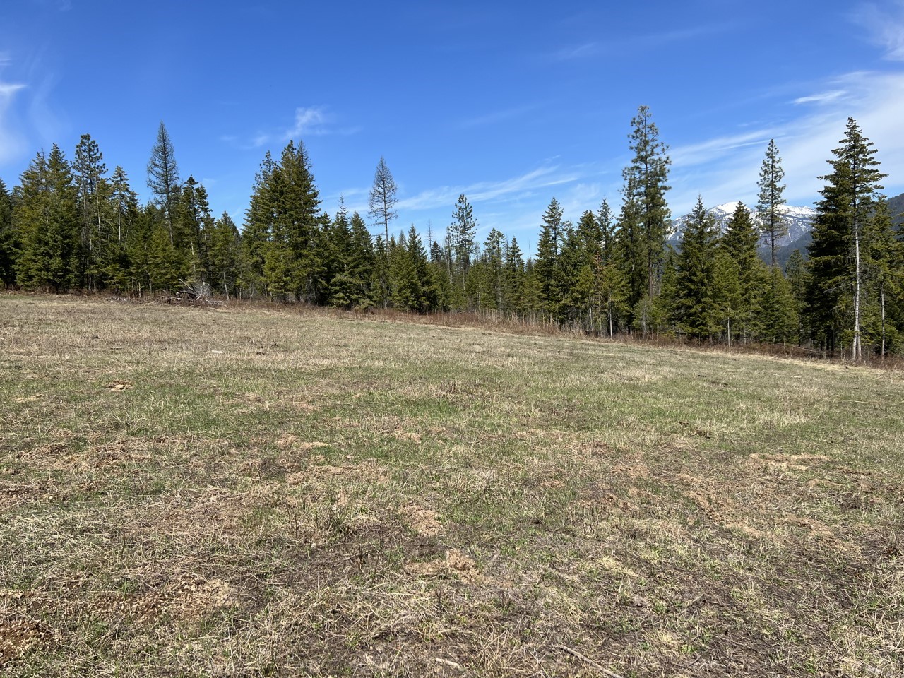 Nhn Creek View Lane Property Photo 22
