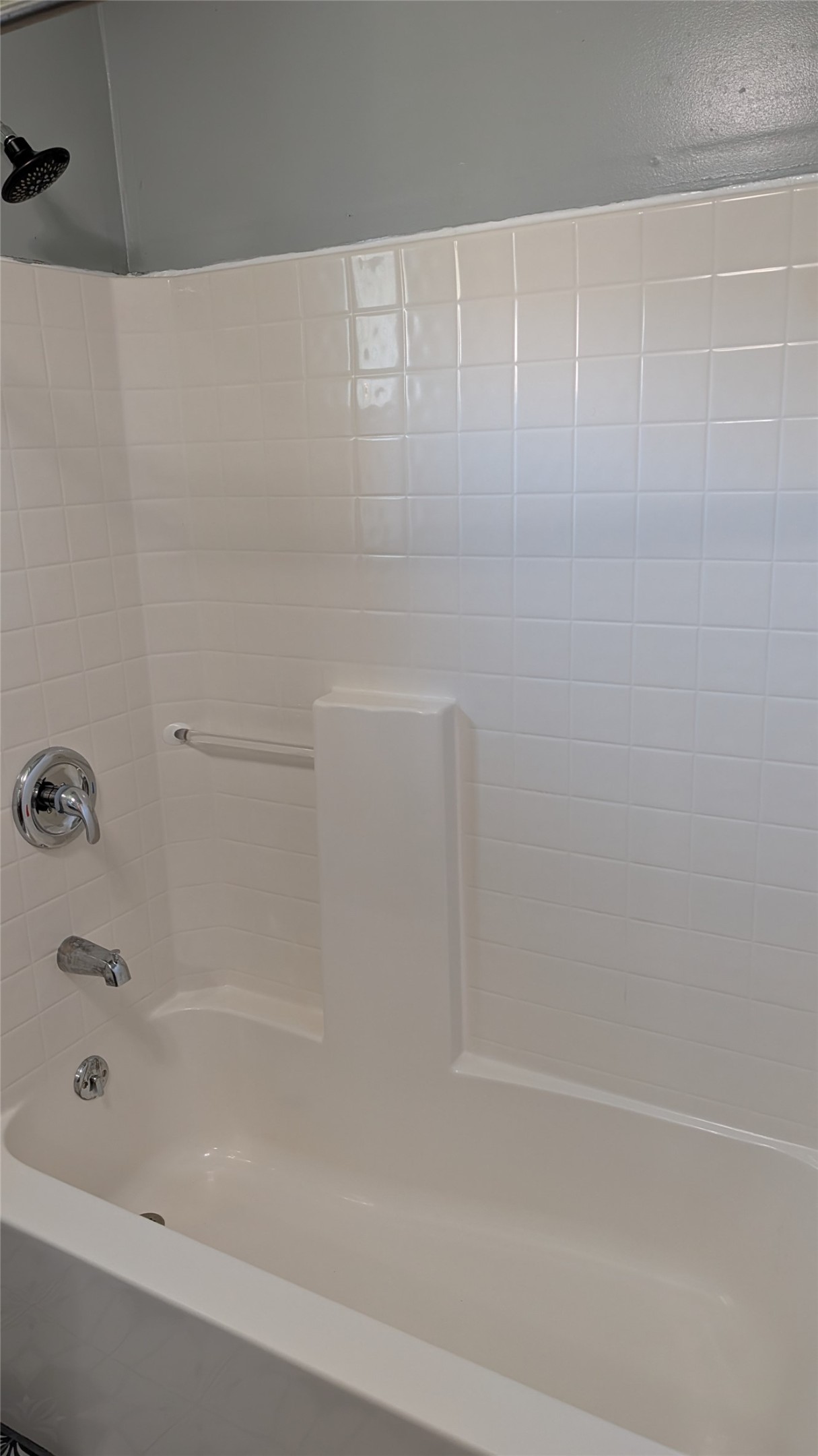 838 Palmer Street Property Photo 13