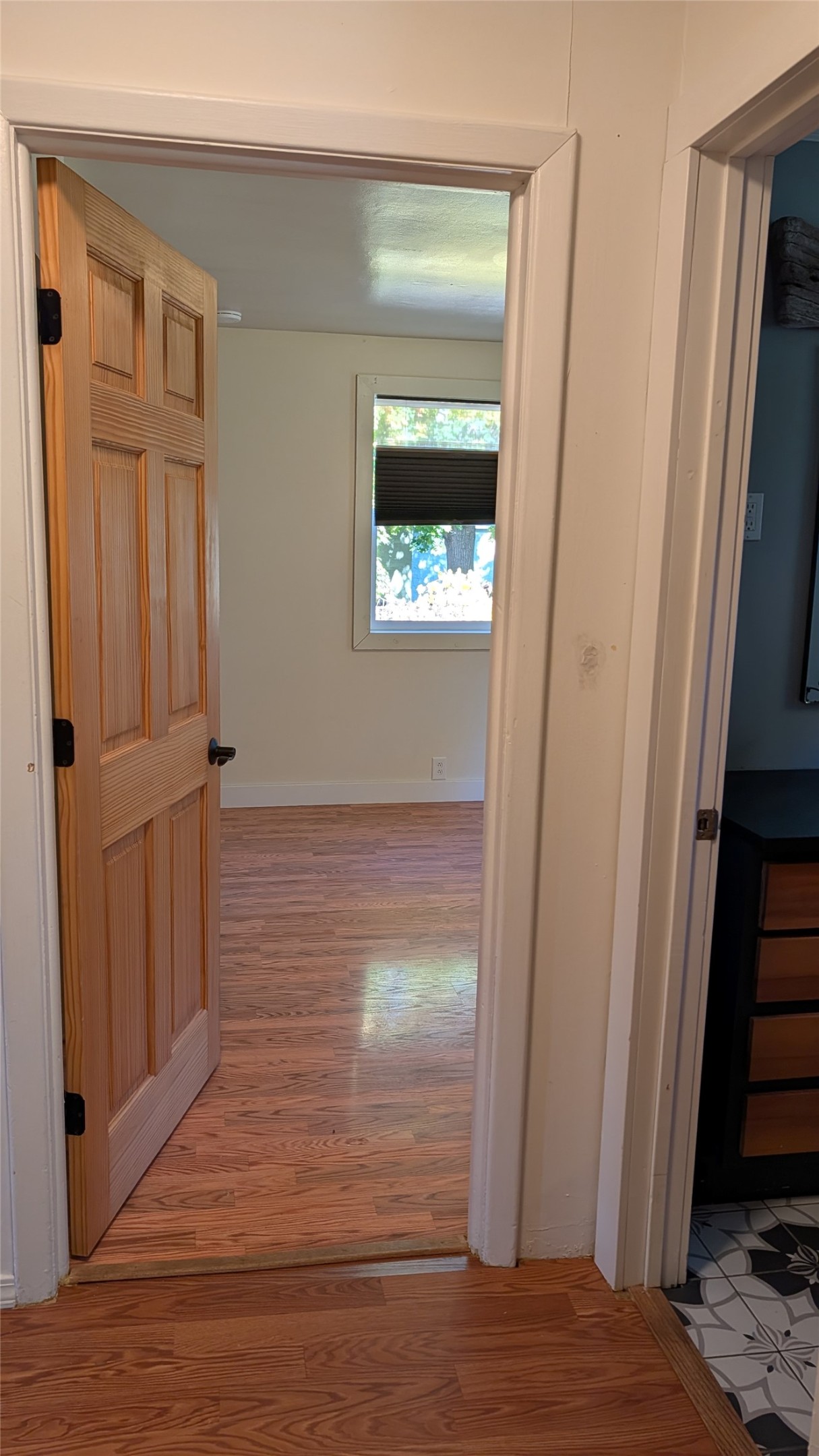 838 Palmer Street Property Photo 15