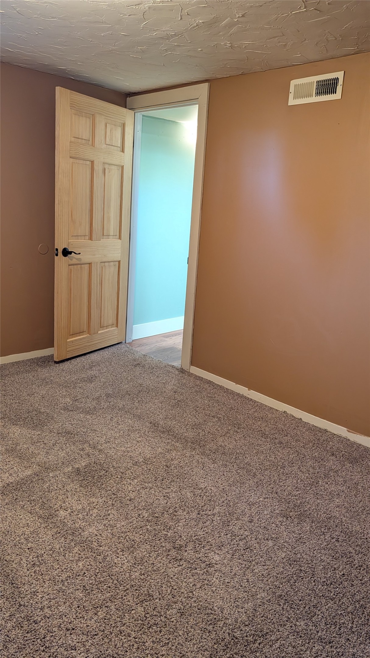 838 Palmer Street Property Photo 32