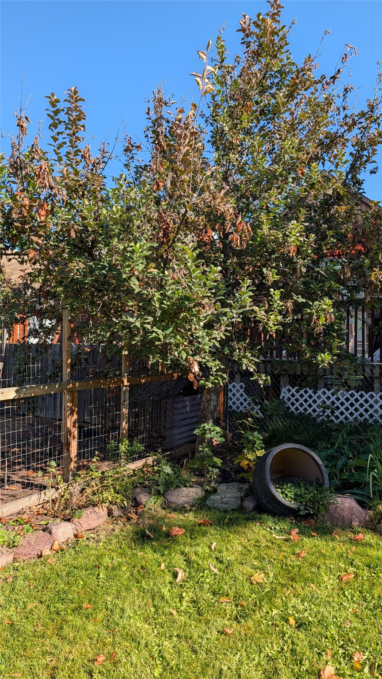 838 Palmer Street Property Photo 42