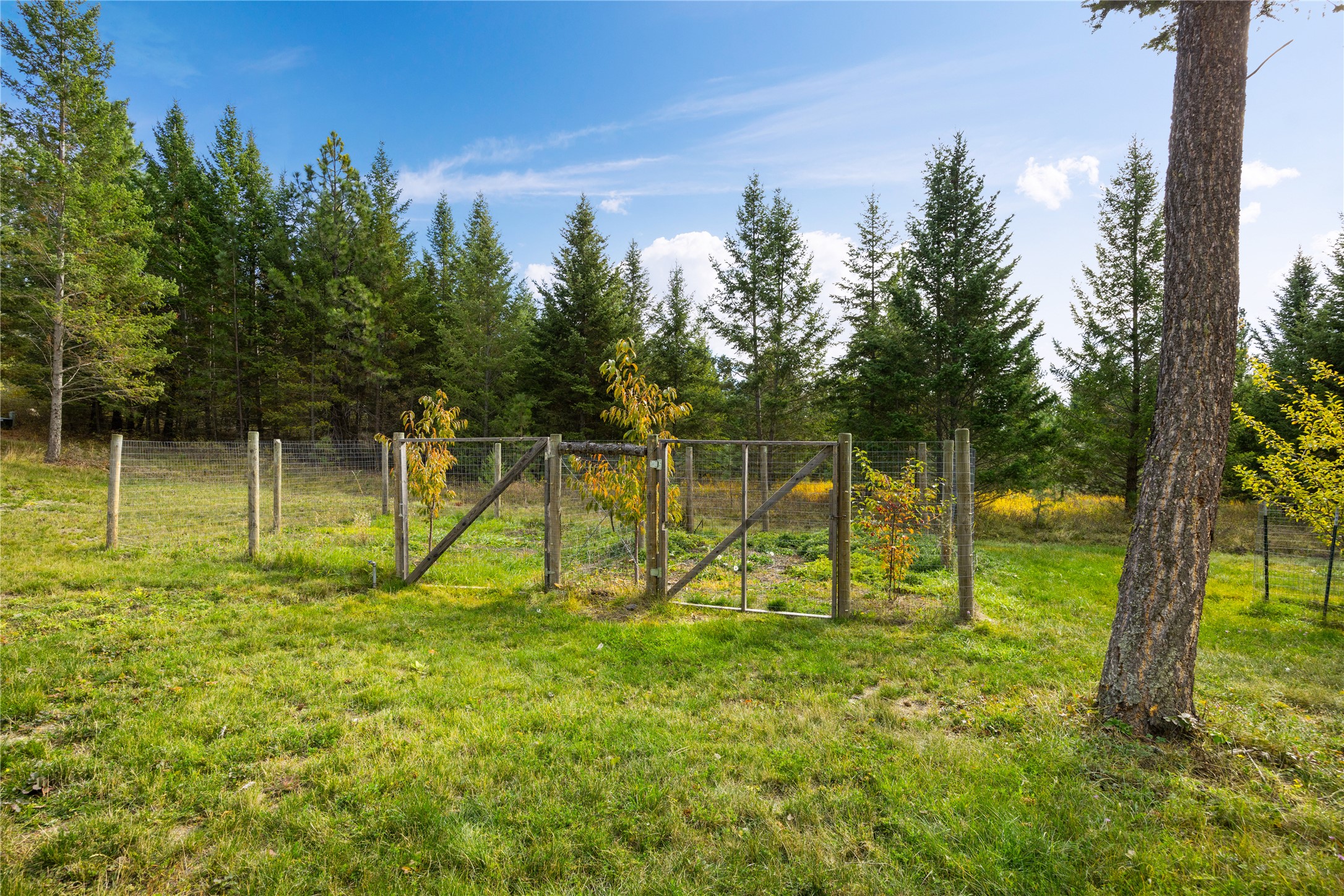 20341 Swan View Road Property Photo 47