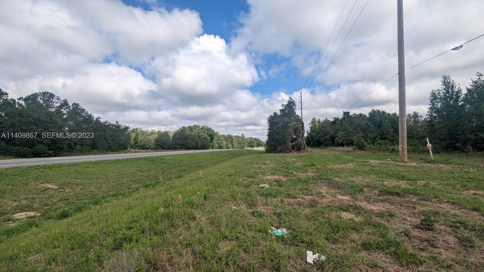 51 E Citrus Springs Boulevard Property Photo 5