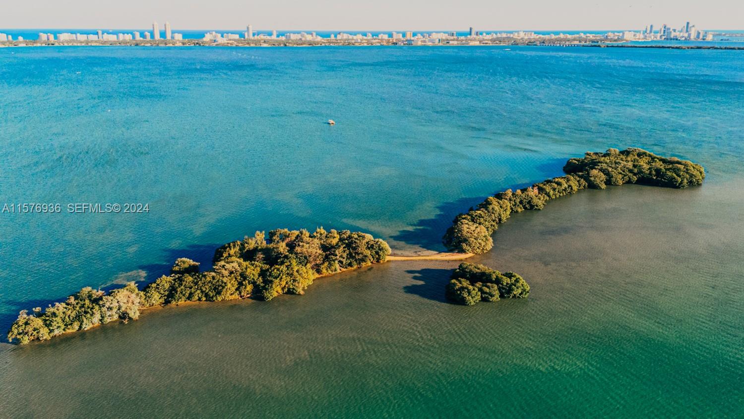 1 Bird Key Property Photo 3
