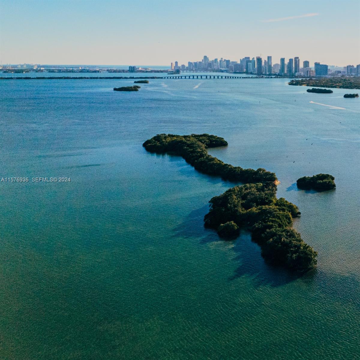 1 Bird Key Property Photo 5