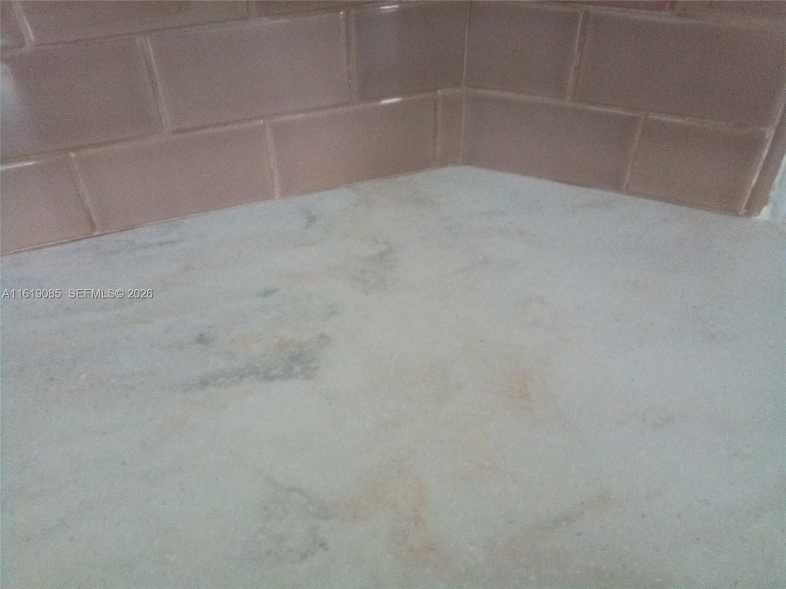 6085 N Sabal Palm Boulevard 204 Property Photo 15