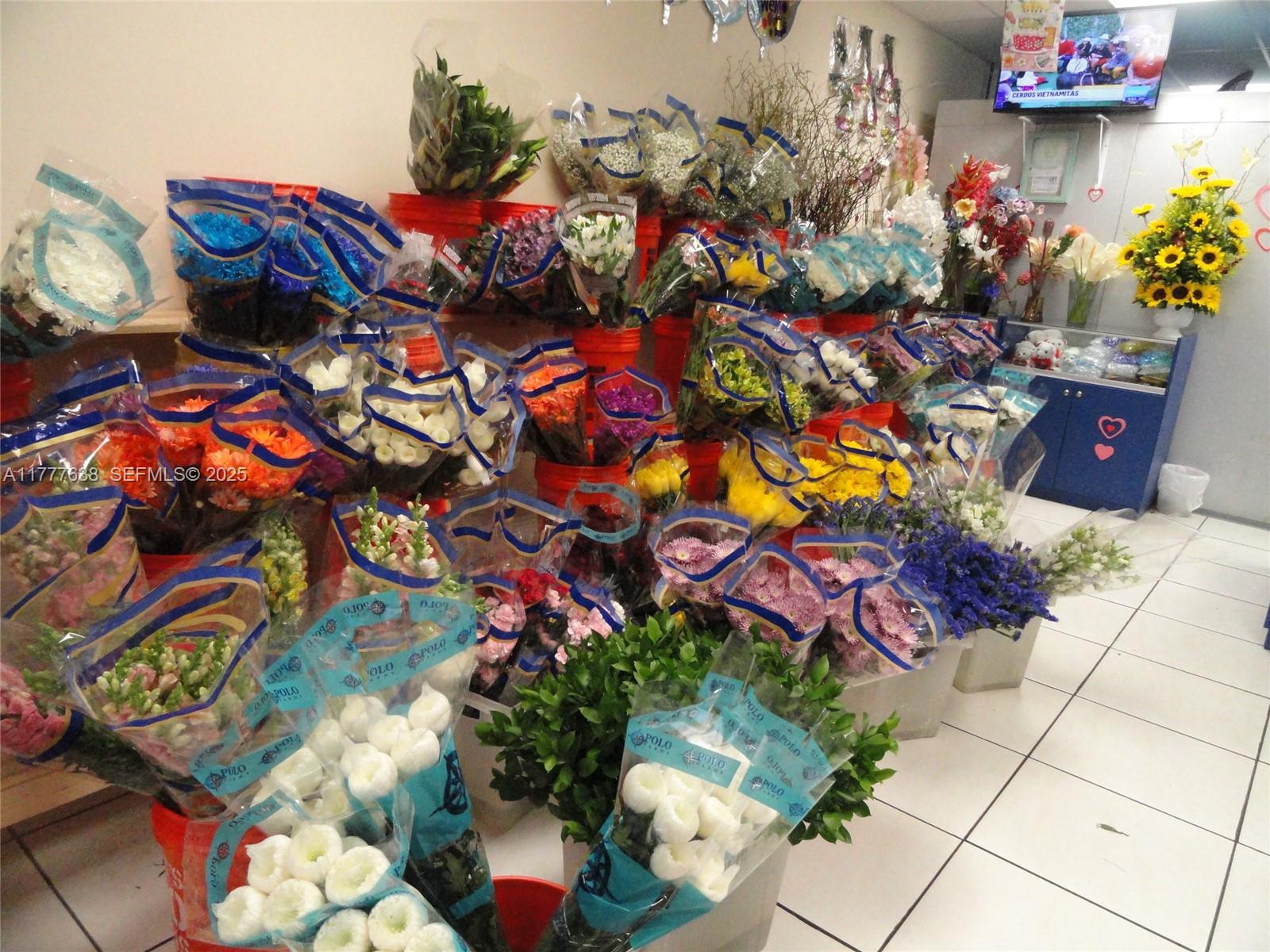 A11777638 Property Photo 6