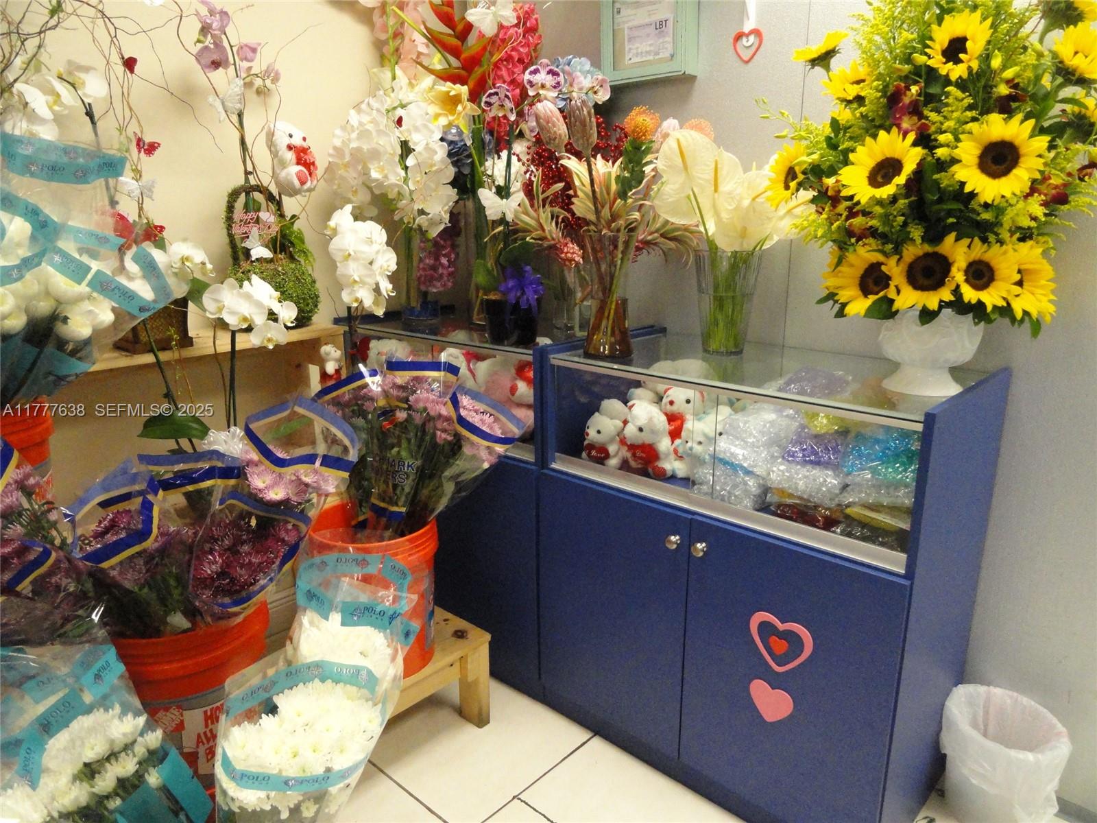 A11777638 Property Photo 11