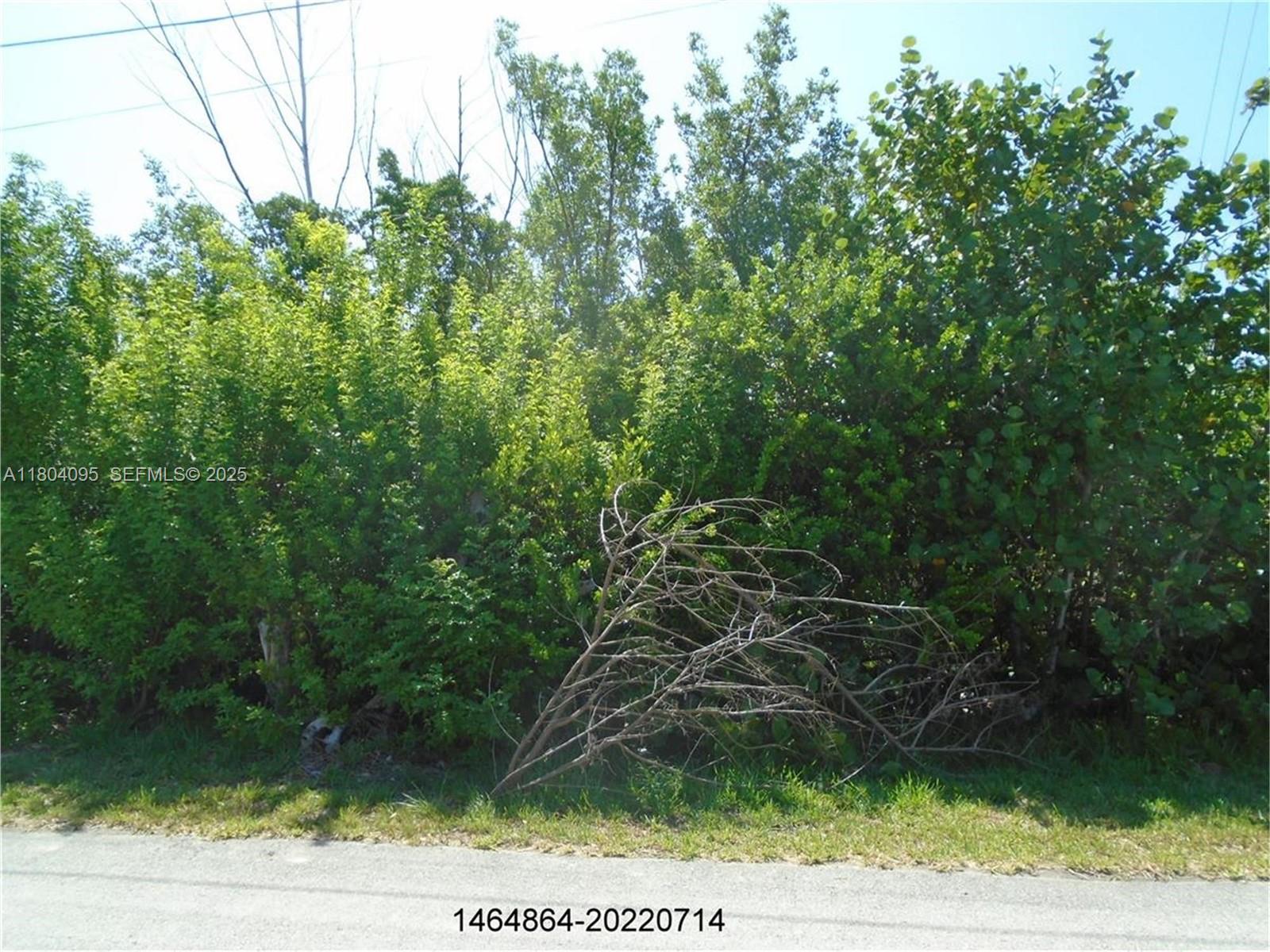 113 Jamaica Street Property Photo 4