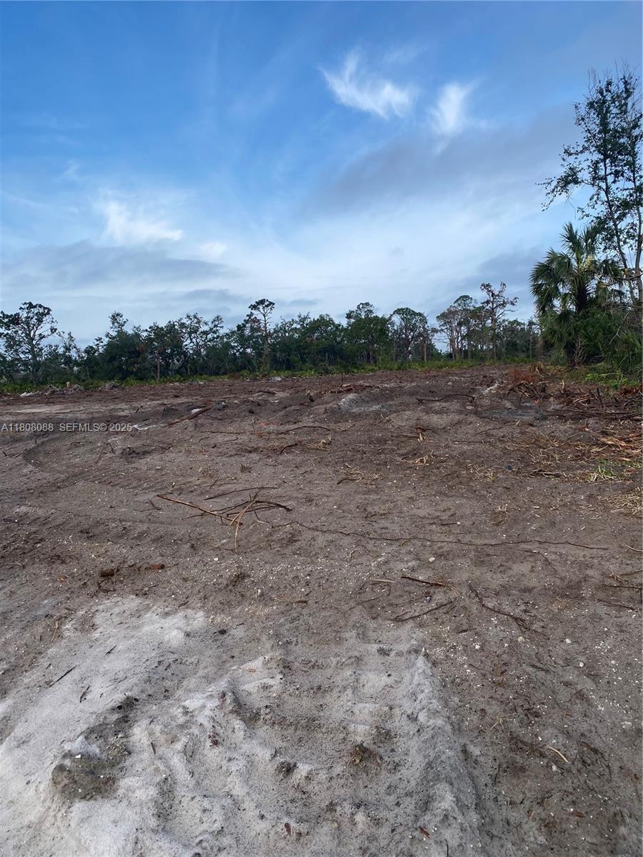 23 Rotonda Plpz Property Photo 3