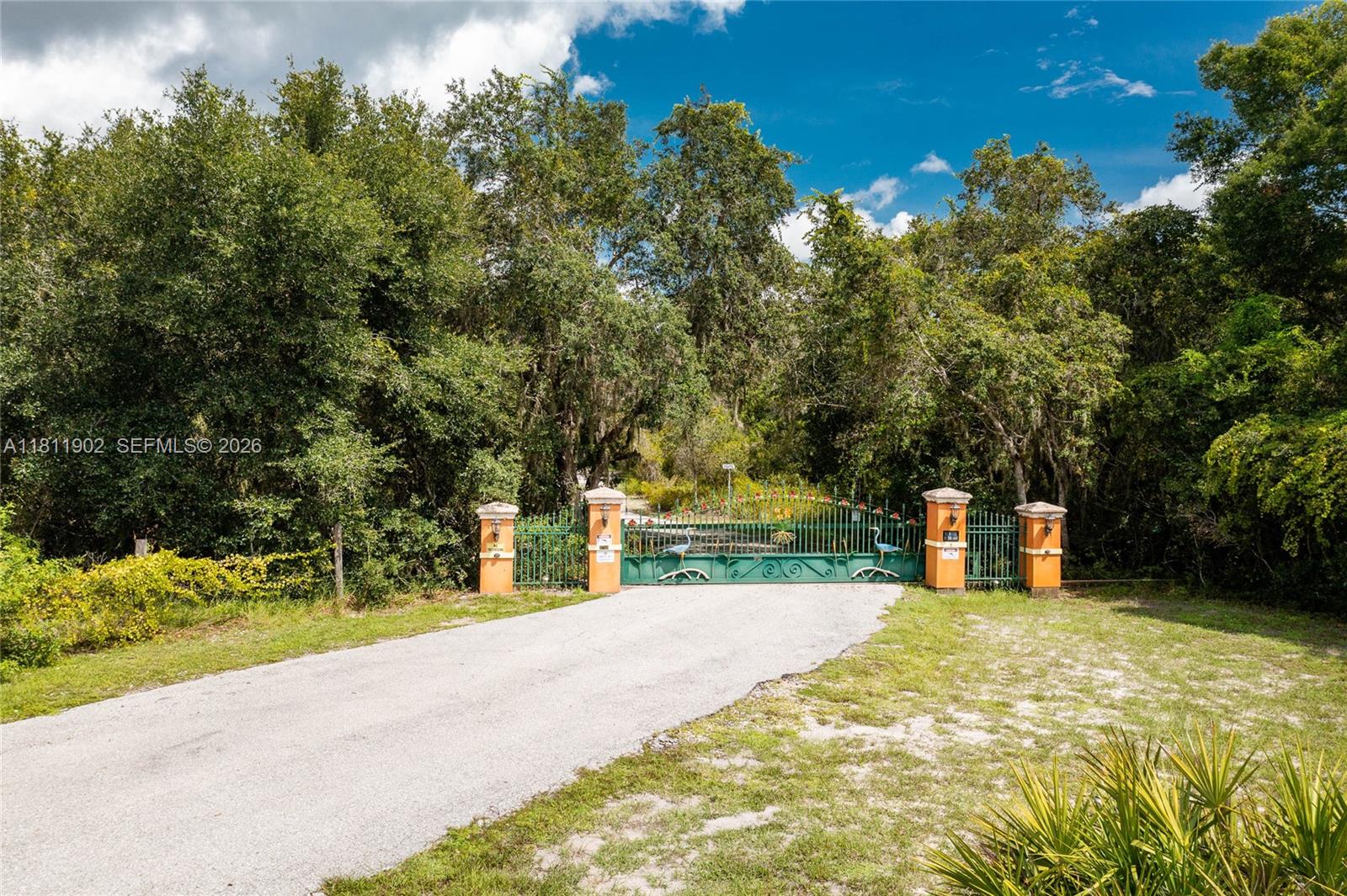 37511 Washington Loop Road Property Photo 4