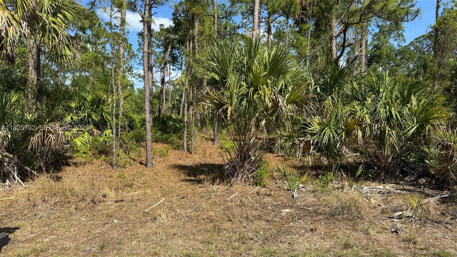 272 Ellington Street Property Photo 1