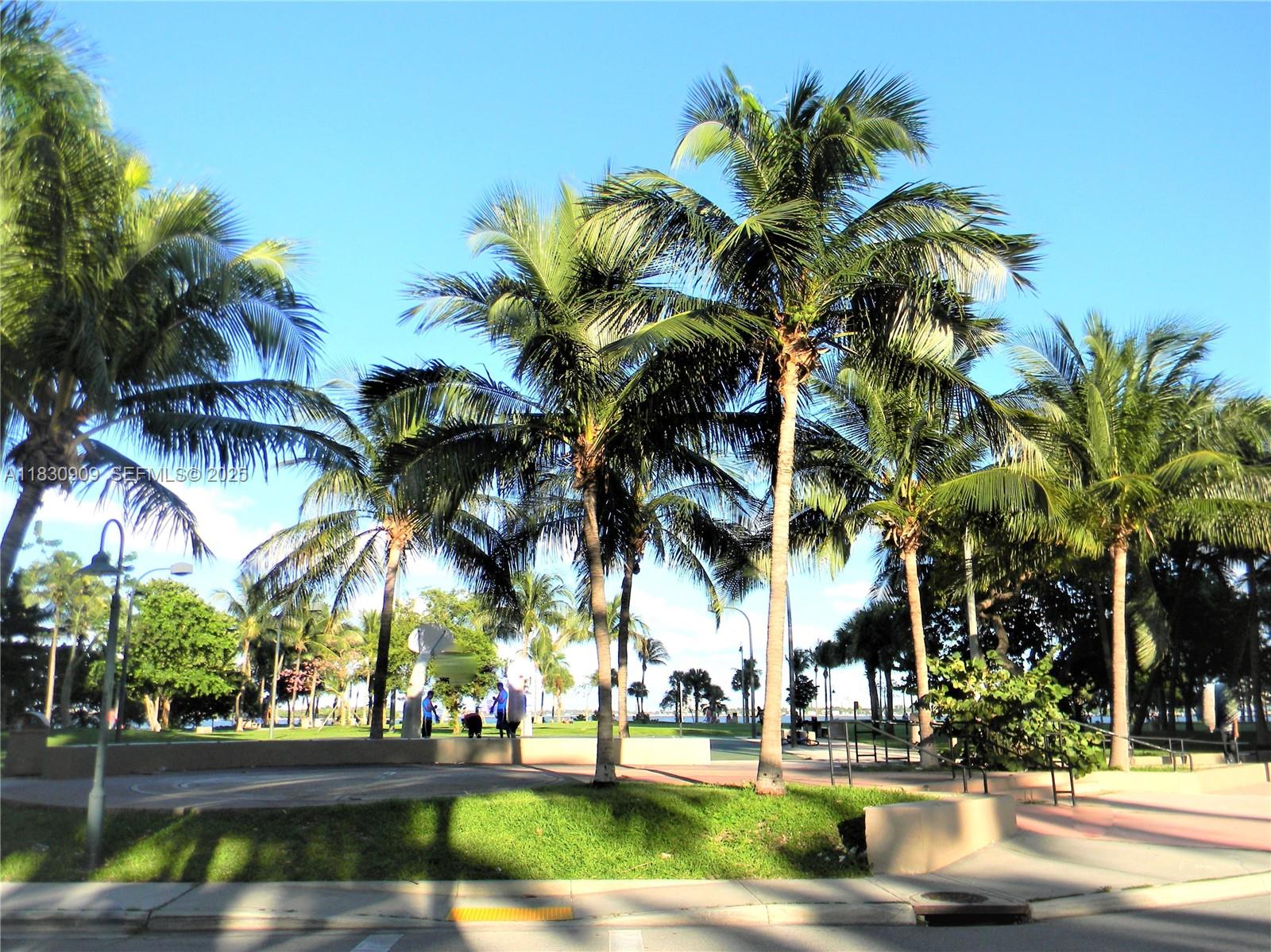 2000 N Bayshore Drive 509 Property Photo 81
