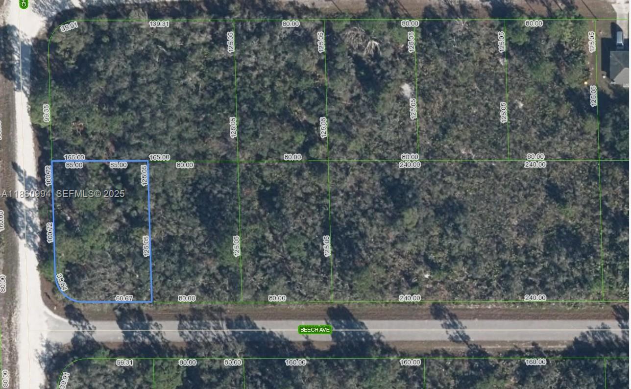3031 Beech Avenue Property Photo 1
