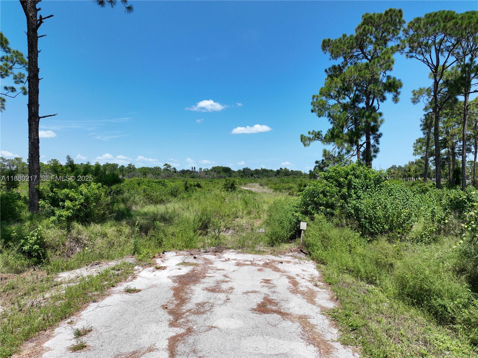 530 Lotus Property Photo 1