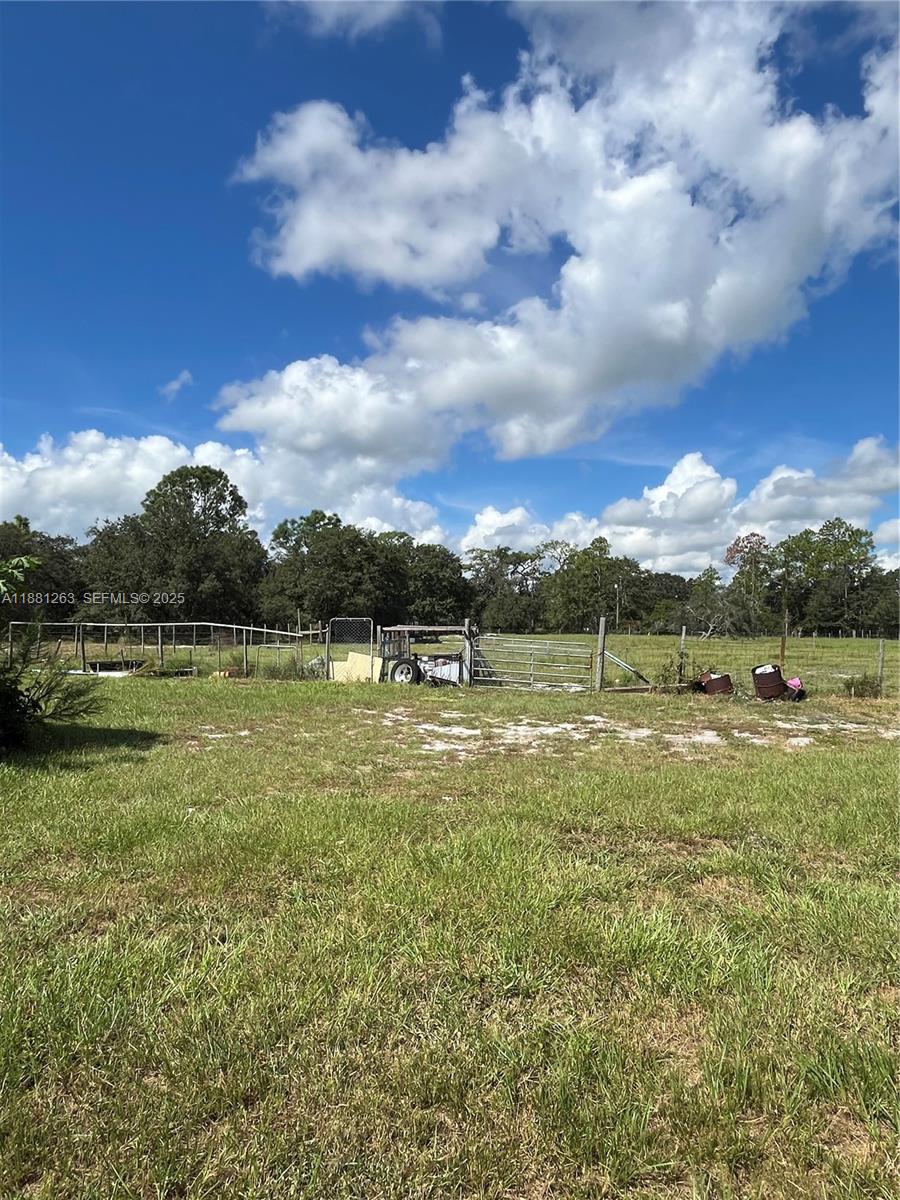 105 Farrer Road Property Photo 30